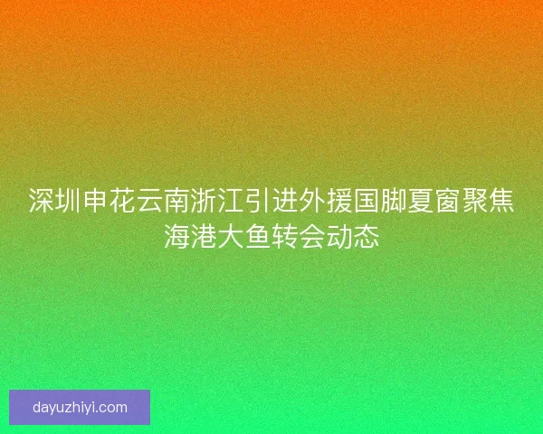 深圳申花云南浙江引进外援国脚夏窗聚焦海港大鱼转会动态