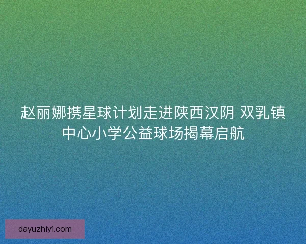 赵丽娜携星球计划走进陕西汉阴 双乳镇中心小学公益球场揭幕启航
