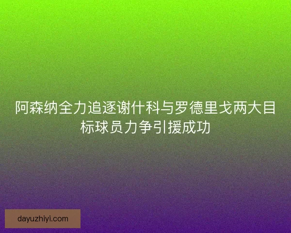 阿森纳全力追逐谢什科与罗德里戈两大目标球员力争引援成功